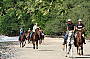 Cape Trib Horse Rides (8am)