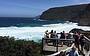 TASMAN SEA CLIFFS