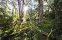 Riding through the bush on a 2 day luxury ride