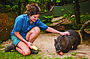 Friends in the Rainforest Package [Kuranda Koala Gardens & Birdworld Kuranda entry]