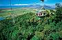 Skyrail glides over the rainforest