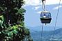 One Way Skyrail Experience (departing from Kuranda)