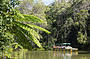 Rainforestation - Army Duck Rainforest Tour