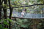 Swing bridge in the Mossman Gorge