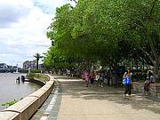 Leafy Southbank