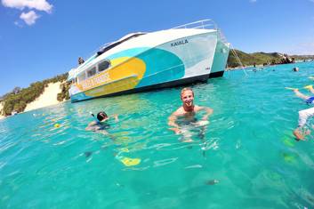 Dolphin & Tangalooma Wrecks Cruise from the Gold Coast