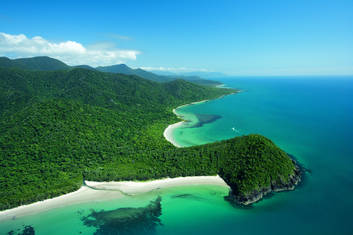 Cape Tribulation